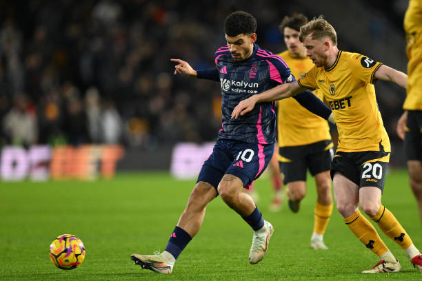 频频崭露头 频频崭露头